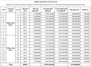 Đấu giá 17 lô đất tại huyện Quỳnh Lưu (Nghệ An) với giá khởi điểm 2.648.400,0 tỷ đồng/lô