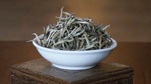 Từ chồi non đến tách trà: Hành trình tinh tế của trà trắng búp non