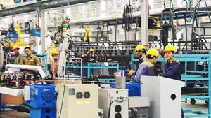 Doanh nghiệp tư nhân: Trụ cột mới của nền kinh tế Việt Nam