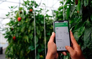 Đưa nông sản lên sàn: Khi nông nghiệp bắt nhịp chuyển đổi số