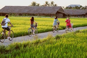 Tăng giá trị vùng đất bằng phát triển du lịch nông nghiệp