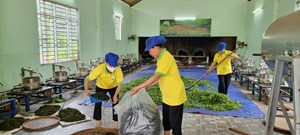Phát triển chuỗi giá trị chè Tân Cương: Hướng đi từ những mô hình canh tác bền vững