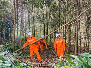 Bảo đảm hành lang an toàn lưới điện trên địa bàn tỉnh Thanh Hóa – Hiệu quả không chỉ đến từ nỗ lực của ngành Điện