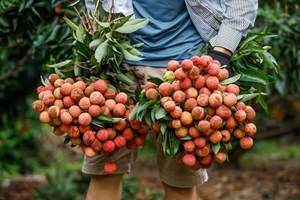 Các địa phương đẩy mạnh tiêu thụ nông sản vào vụ qua thương mại điện tử