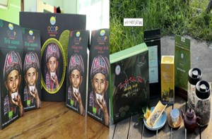 Chè Shan Tuyết và hành trình vươn tầm quốc gia nhờ OCOP