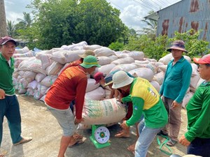 Vượt Thái Lan gạo Việt Nam xuất khẩu nhiều nhất vào Philippines