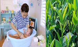 Cách tắm lá chè xanh cho trẻ sơ sinh trị "rôm sảy, mụn nhọt"