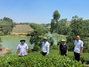 Thái Nguyên: Chuỗi hoạt động “Trải nghiệm Vô Tranh - Dấu ấn xứ Trà” sắp được diễn ra 