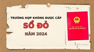 Luật Đất đai 2024: 7 trường hợp bị hủy Sổ đỏ 