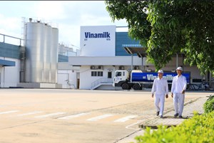 3 năm liền góp mặt trong Fortune Sea 500: Vinamilk khẳng định vị thế thương hiệu sữa Việt