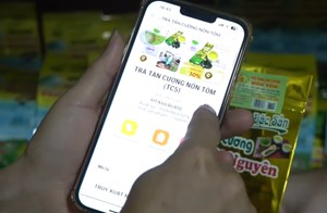 Truy xuất nguồn gốc: Tấm khiên chống trà giả và cú hích mới cho chè Việt
