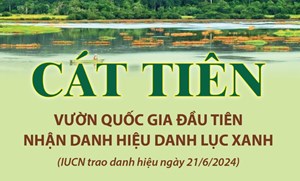 Vườn Quốc gia đầu tiên của Việt Nam nhận danh hiệu Danh lục xanh