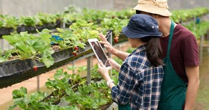 Nông nghiệp số và hành trình minh bạch hóa chuỗi cung ứng