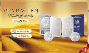 Lợi thế của DOJI khi tham gia vào thị trường bạc đang rất hấp dẫn nhà đầu tư