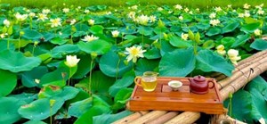 Nâng cao văn hóa và giá trị của trà Việt 