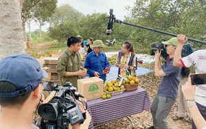 Bán hàng nông sản qua nền tảng giao dịch điện tử đang dần phát triển