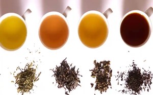Vì sao trà vẫn được yêu thích suốt hàng ngàn năm?