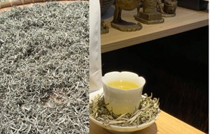 Trà Bạch Mao: Khúc nhạc nhẹ tựa sương sớm giữa núi rừng Bảo Lộc