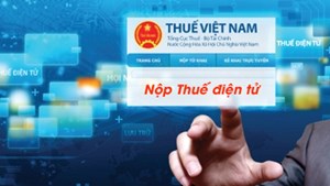 Tổng cục Thuế cảnh báo người nộp thuế về các hình thức lừa đảo