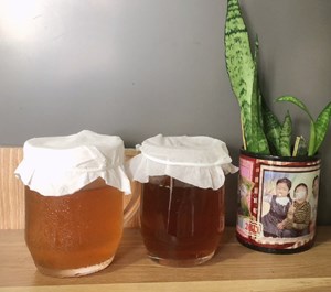 4 lợi ích của trà Kombucha đối với sức khỏe