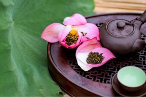 Chọn trà nền ướp sen: Nghệ thuật cảm vị của người nghệ nhân Hà Nội
