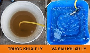 Cách làm sạch nước sinh hoạt sau mưa lũ