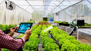 Kinh tế nông thôn trước ngưỡng cửa chuyển đổi xanh và tuần hoàn