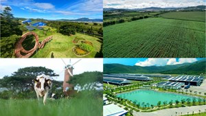 Trang trại “Green Farm”, “trung hòa Carbon” – những bước chân đầu tiên của Vinamilk trong lộ trình đến Net Zero