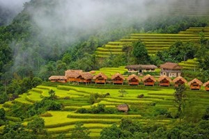 Làng quê khởi sắc từ những mô hình nông nghiệp sáng tạo
