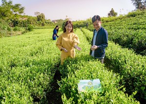 Hiểu đúng về chè sạch: Quyền lựa chọn nằm trong tay người tiêu dùng
