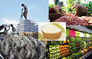 Bản tin nông sản 27/7: Nâng cao năng lực cạnh tranh cho nông sản Việt