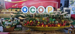 Nâng sức cạnh tranh cho sản phẩm OCOP trên thị trường