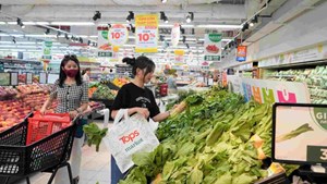 Tiêu dùng xanh tại Việt Nam: Từ xu hướng đến tiêu chuẩn bắt buộc