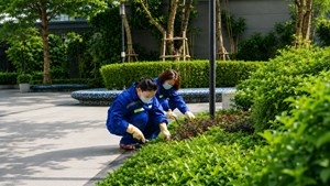 Phía sau những khoảng xanh đáng sống
