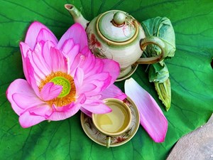 Thị trường trà sen Việt: Sự phân hóa phân khúc và bước chuyển mình đáp ứng thị hiếu hiện đại