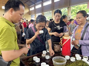 Chợ chè Trại Cài: Nơi giữ hồn trà giữa nhịp sống hiện đại