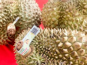 Xuất khẩu nông sản cán mốc 25,66 tỷ USD sau 8 tháng: Rau quả bứt phá ngôi đầu  