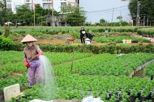 Quy định về ngân hàng đất nông nghiệp sẽ được bổ sung vào dự thảo Luật Đất đại sửa đổi