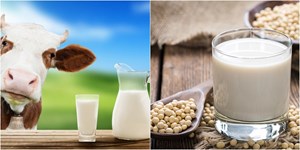 Sữa đậu nành có tốt hơn sữa bò không?