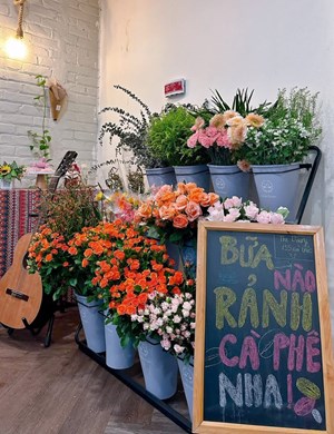 “Buffet hoa” và cà phê - trải nghiệm độc đáo được giới trẻ Hà Nội đón nhận