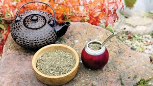 Trà Yerba Mate - thức uống nổi tiếng của Argentina đã có mặt tại Việt Nam