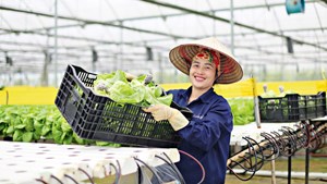 Đánh thức tiềm năng kinh tế nông thôn trong thời kỳ hội nhập