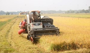 Kinh tế tuần hoàn – Chìa khóa nâng cao giá trị nông sản Việt