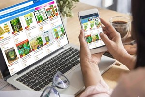 Thế hệ người tiêu dùng mới – Khi tách trà gắn với lối sống hiện đại và bền vững