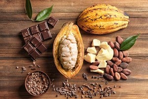 Cacao: Từ nguồn gốc quý giá đến thị trường tiềm năng  