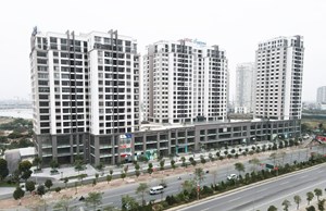 Cơn khát nhà ở vẫn chưa hạ nhiệt: Khi nhu cầu thực vượt xa nguồn cung