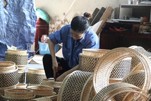 Nghệ An khẳng định vị thế tốp đầu cả nước về sản phẩm OCOP đạt chuẩn sao