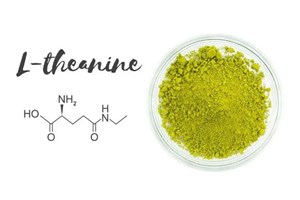 L–Theanine: Acid amin đặc biệt trong trà