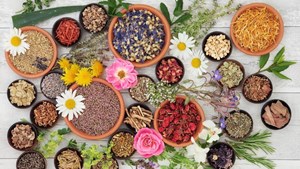 Không gian mới của trà: Khi sáng tạo mở đường cho hương vị