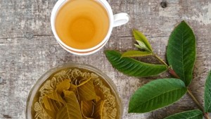 Lợi ích đáng ngạc nhiên của trà lá ổi đối với sức khoẻ